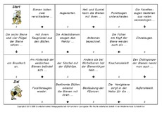 Lesedomino-Honigbienen-2.pdf